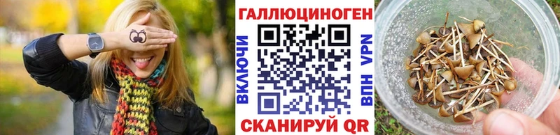 Псилоцибиновые грибы Magic Shrooms  блэк спрут ССЫЛКА  нарко площадка какой сайт  Лебедянь 